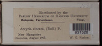 Image Associated With the Occurence